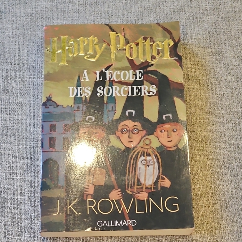 Harry Potter à l'école des sorciers Book